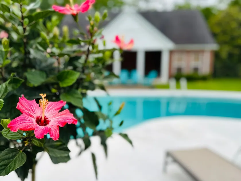 The Hideaway: 7 Acres. Swim. Explore. Relax. - Image 1