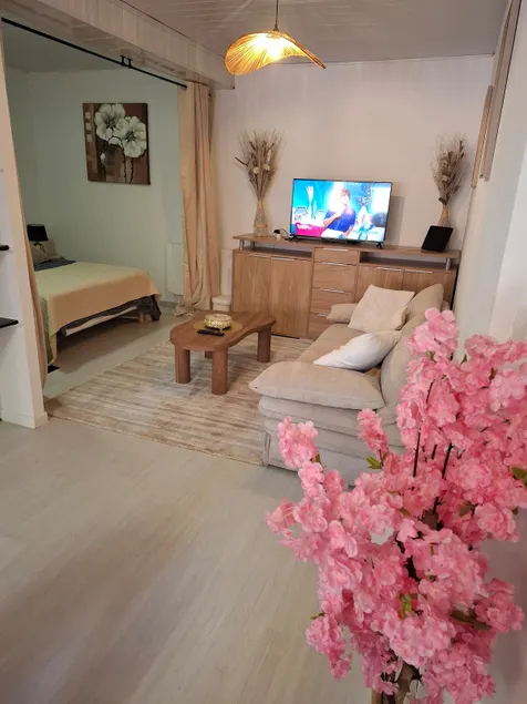 Ideal 50 m2 terrace, free parking - Image 1