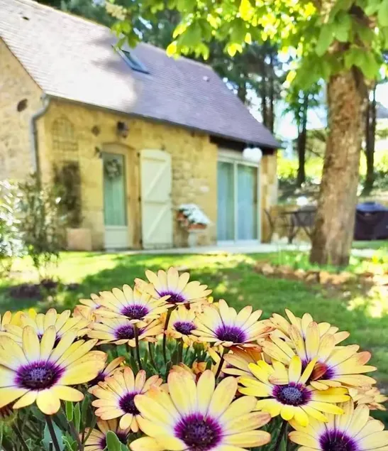 Charming cottage in the grounds of an ancient mill - Image 1