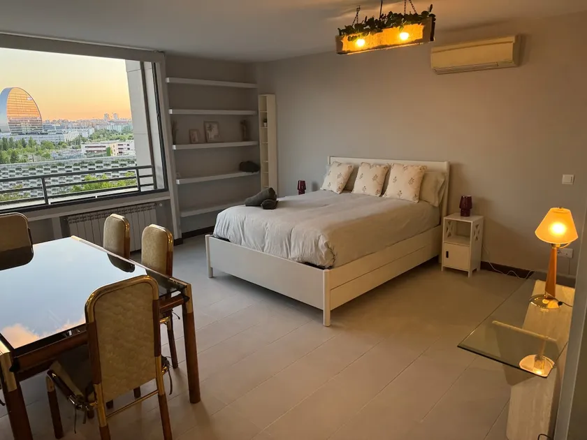 Spectacular loft with views of Madrid - Image 1