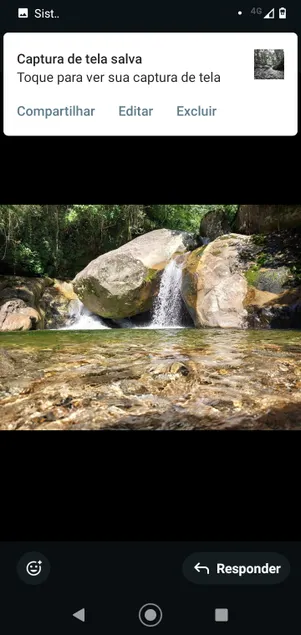 Immersion in nature and peace - Image 1