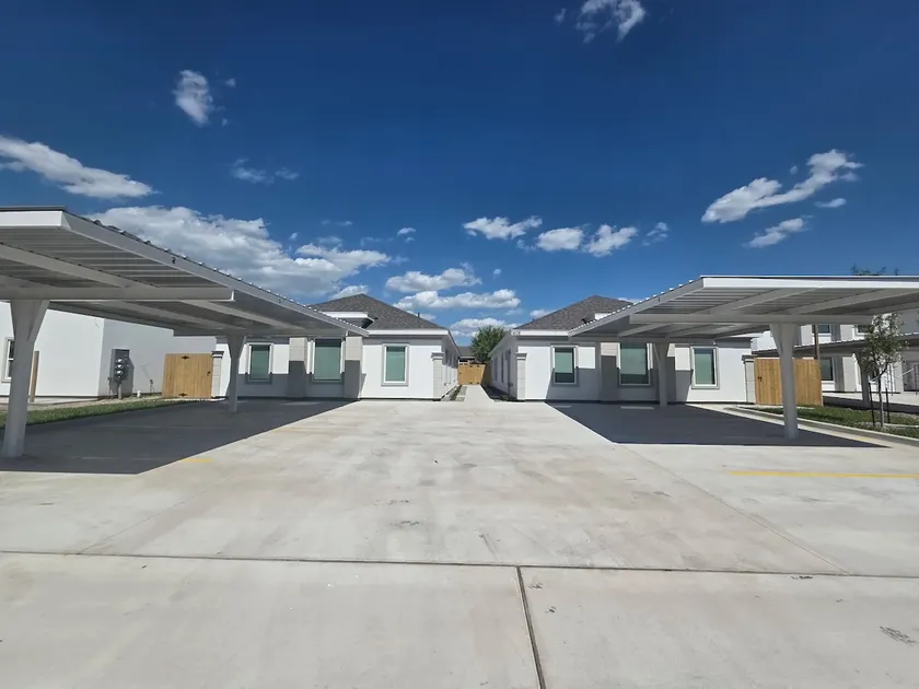 Palm oasis - Image 1