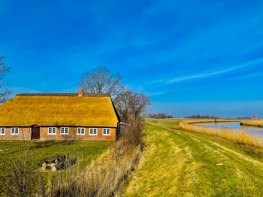 Idyllic house in Tøndermarsken - Image 1