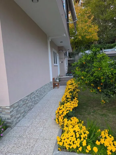 Green Oasis Home - Image 1