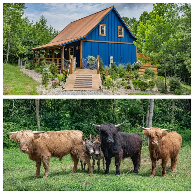 Luxury Lodge Cabin on a Highland Cow Farm - Image 1