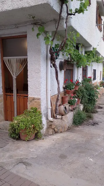 cozy among orange trees - Image 1