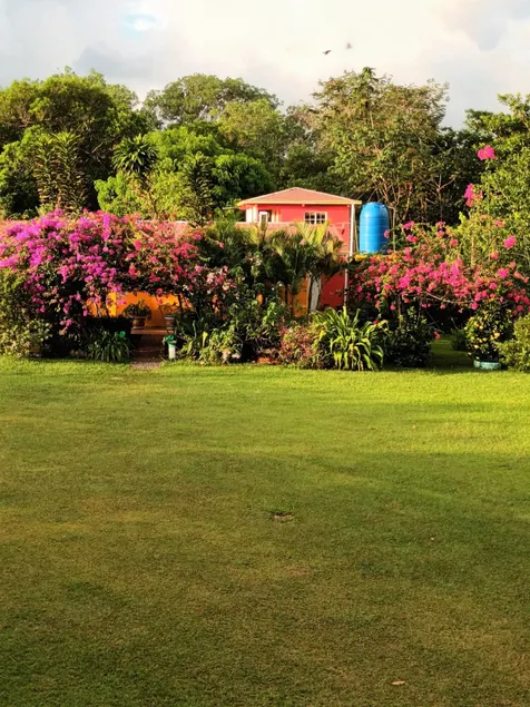 Villa Verde Estate - Image 1