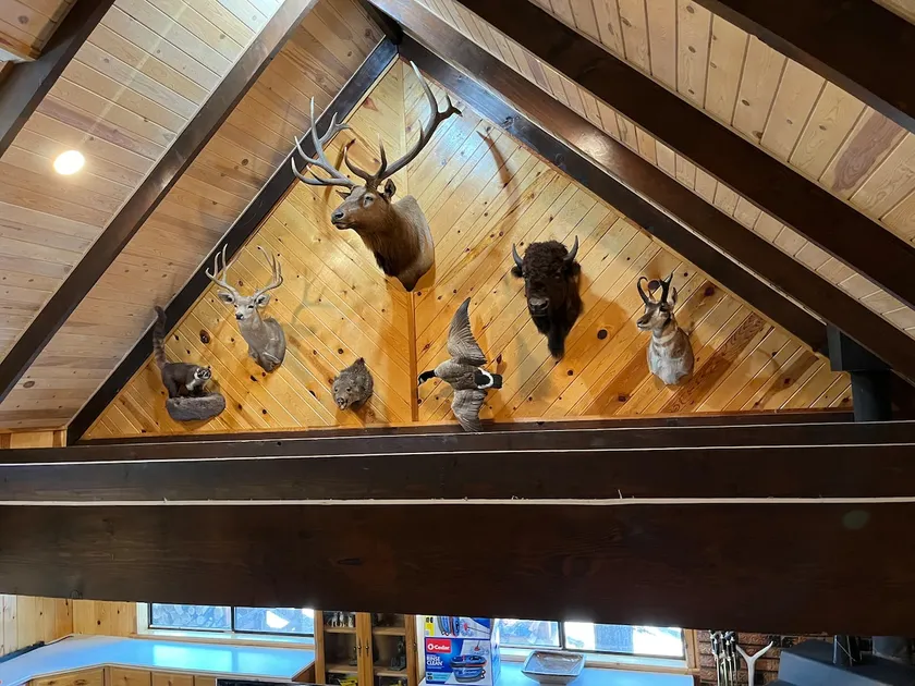 Boxer cabin - Image 1