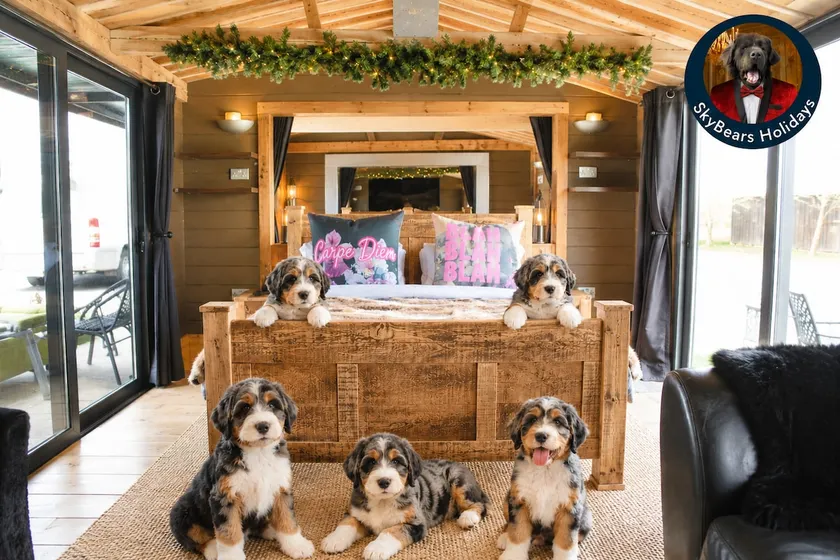 Drumcoltran Cabin by SkyBears Holidays - Puppy Lounge, Arcades, Games room - Image 1
