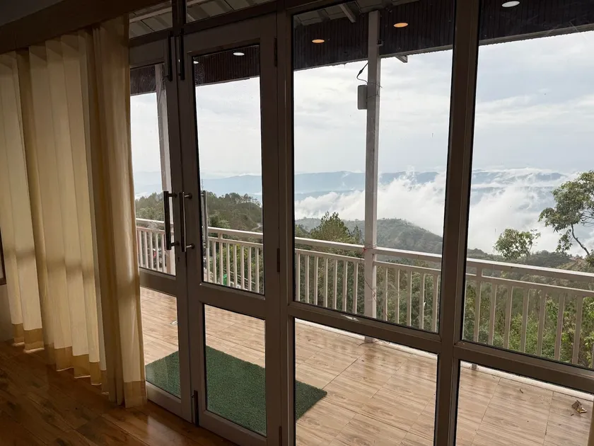 The Pine Tree-View worth the Stay - Image 1