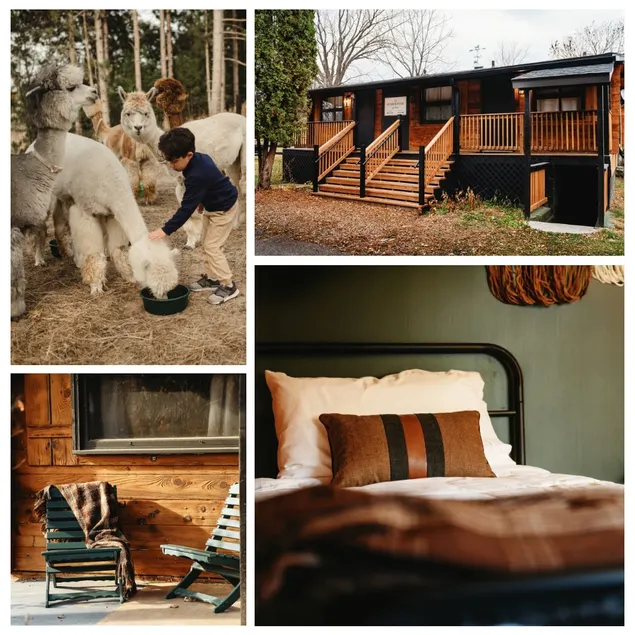 12ppl | All-Inclusive Retreat Style Cabin Stay - Image 1