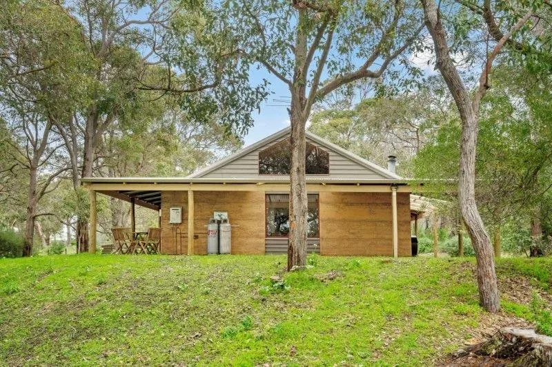 Grasstree - Image 1