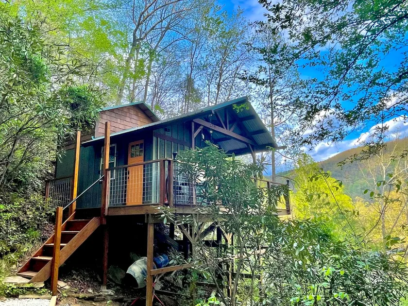 The Roost Cabin Creekside/Pet-Friendly/Adventurous - Image 1