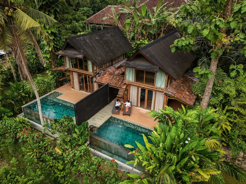 Lotus Forest Houses - Image 1