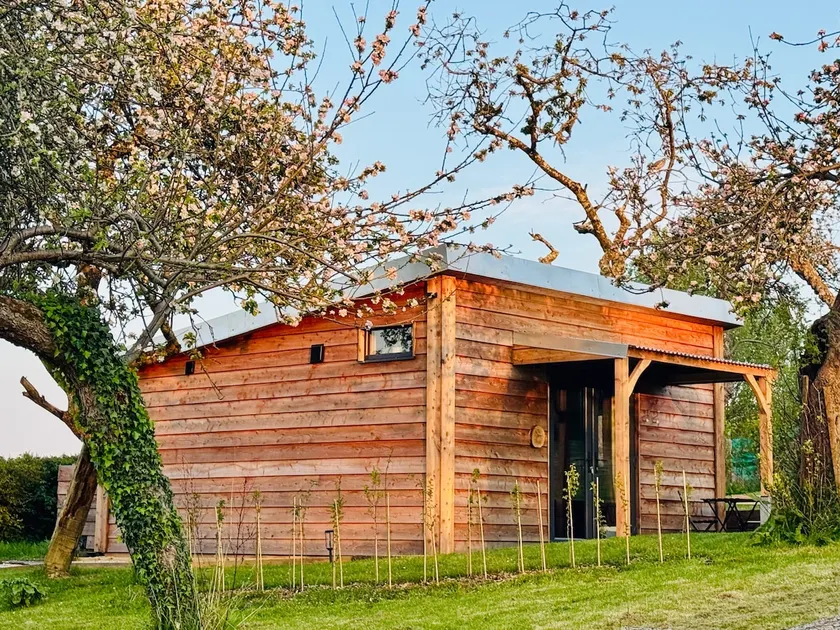 The Apple Shed - cosy cabin nestled in orchard in rural Devon - Image 1