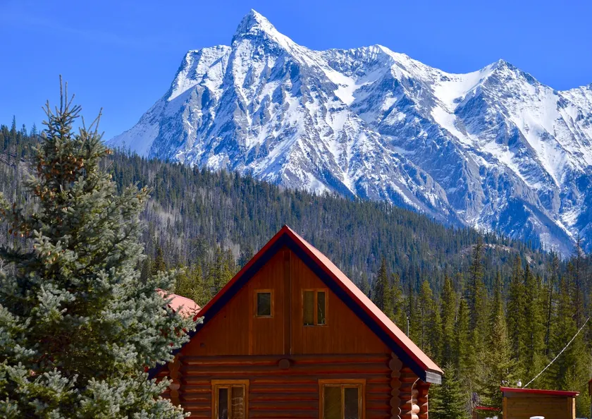 Wild Pine Log Cabin in the heart of the Rockies - Image 1