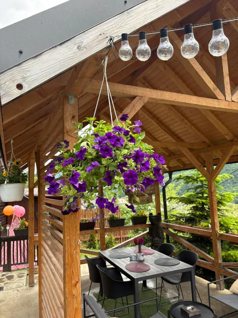 Chalet Husky •Pet Friendly&Private •Self Check-in - Image 1