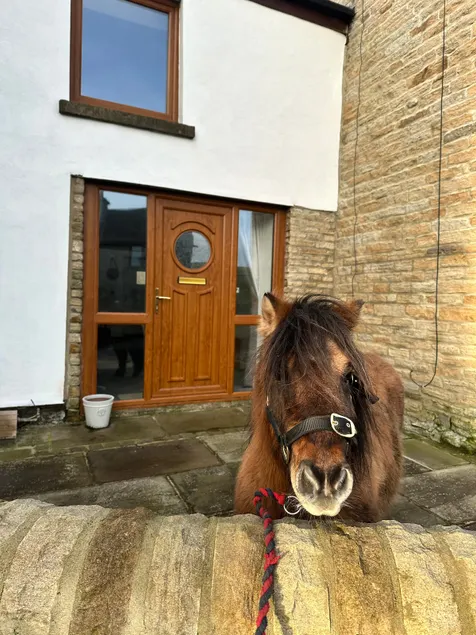 The Cowshed, a cosy home in a tiny village. - Image 1