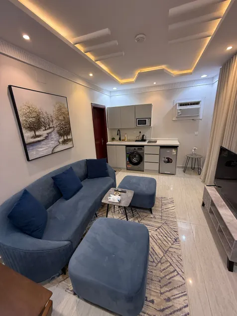 Luxury apartment, room, hall and outdoor sitting - Image 1