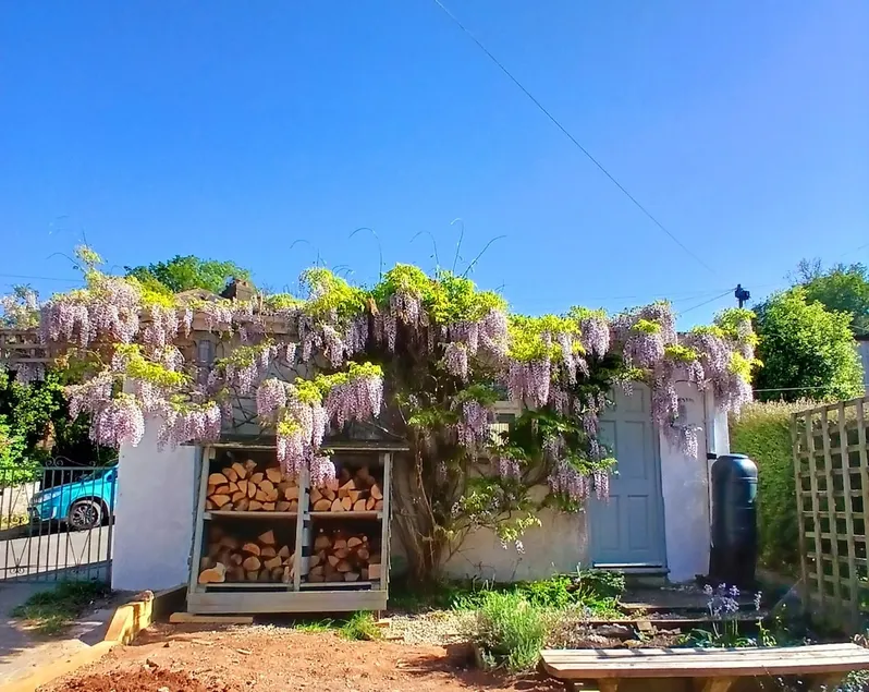 Wisteria Corner, Totnes - Image 1