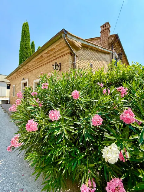Casa L Oleandro - Image 1