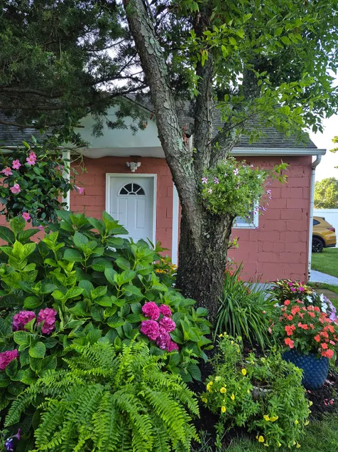 Cabin in the trees - Image 1