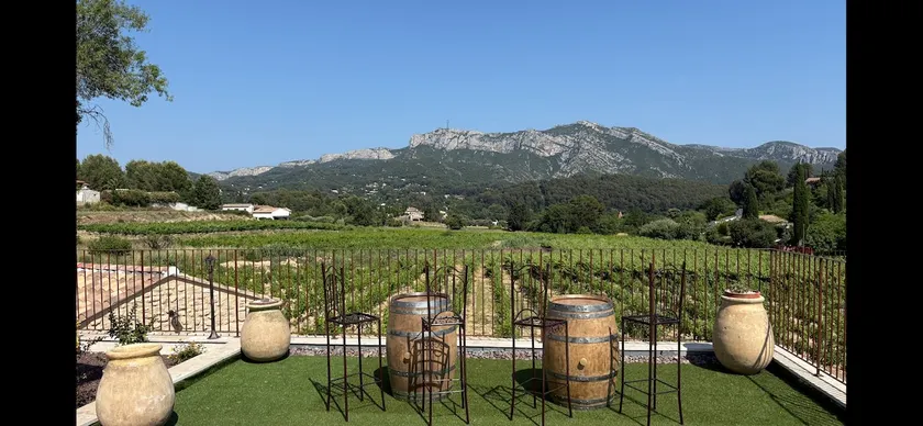 The Adriju between vineyards and hills - Image 1