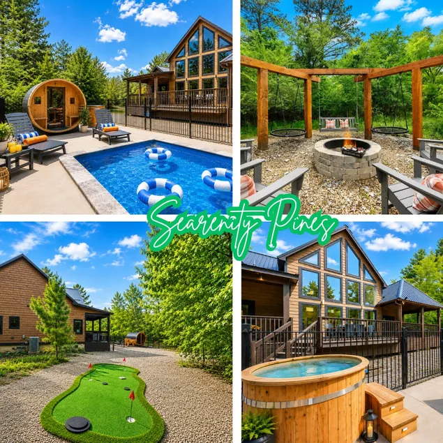 Pool•Plunge Sauna•Arcade•Fort•HotTub - Image 1