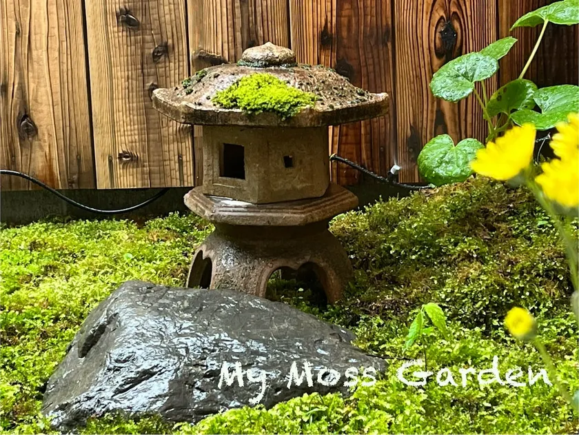 Cozy Home in East Kyoto - Image 1