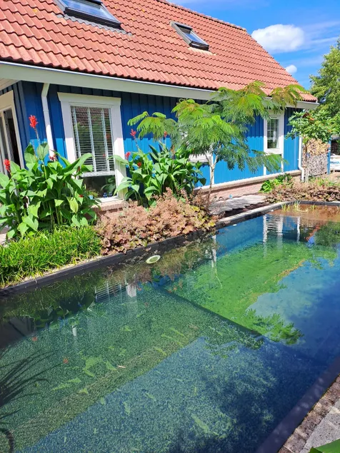 Tropical paradise with pool - Image 1
