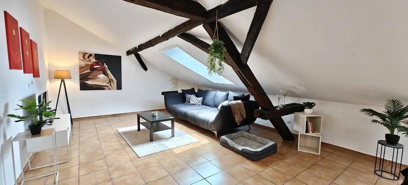 Loft with pond view in the Franconian lake district - Image 1