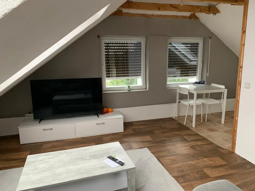 Bright central attic apartment near Heidelberg - Image 1