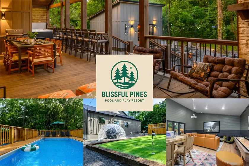 Blissful Pines Pool & Play Resort (Sleeps 22) - Image 1