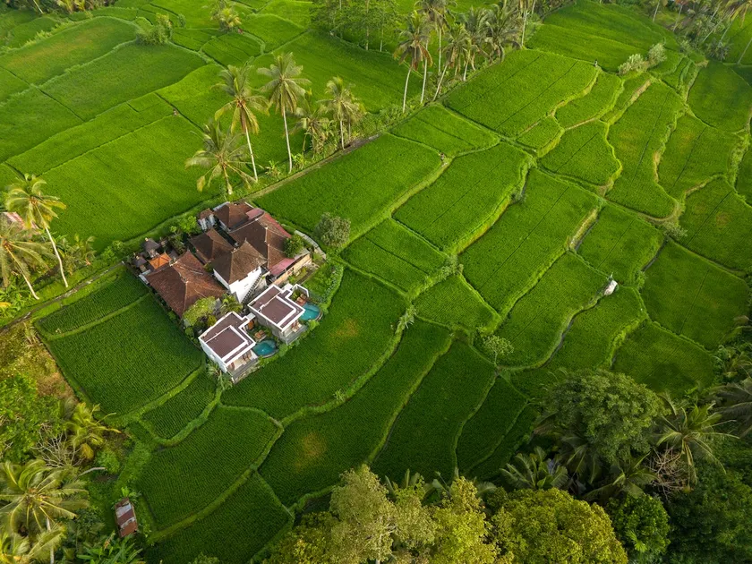 BRAND NEW! Honeymoon with Floating Breakfast - Image 1