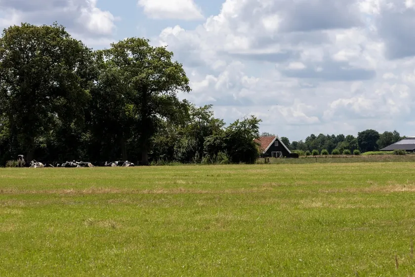 The Assenhoekje offers space & tranquility - Image 1