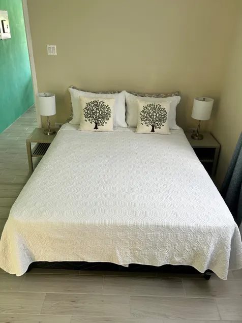 Modern, Cozy 1BR - near Airport, Oistins & Embassy - Image 1