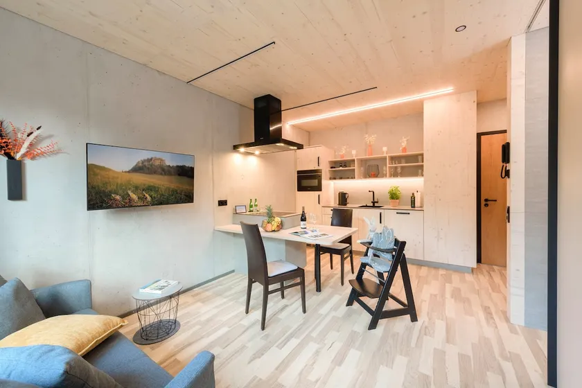 Hohenstoffeln / Deluxe apartment - Image 1