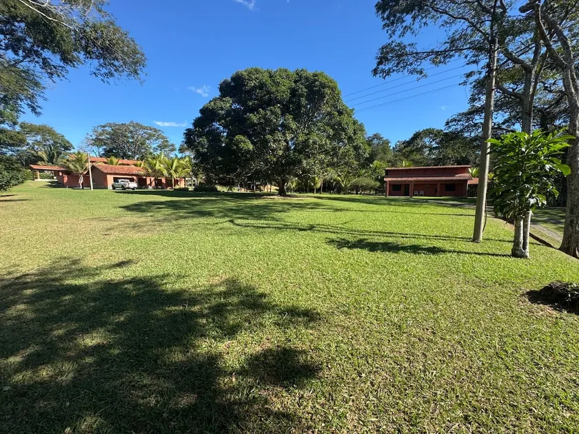 Coconut Farm - Boa Esperança - Image 1