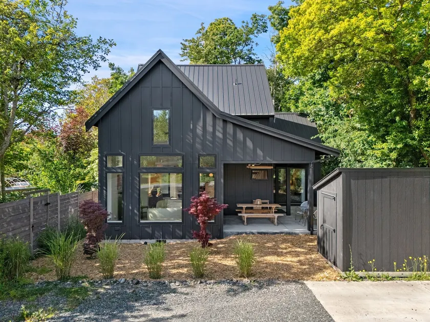 The Black Squirrel in Fairhaven - Image 1