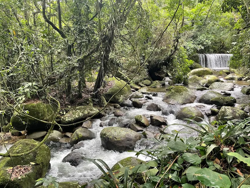 Bird hotspot and amazing waterfalls. - Image 1