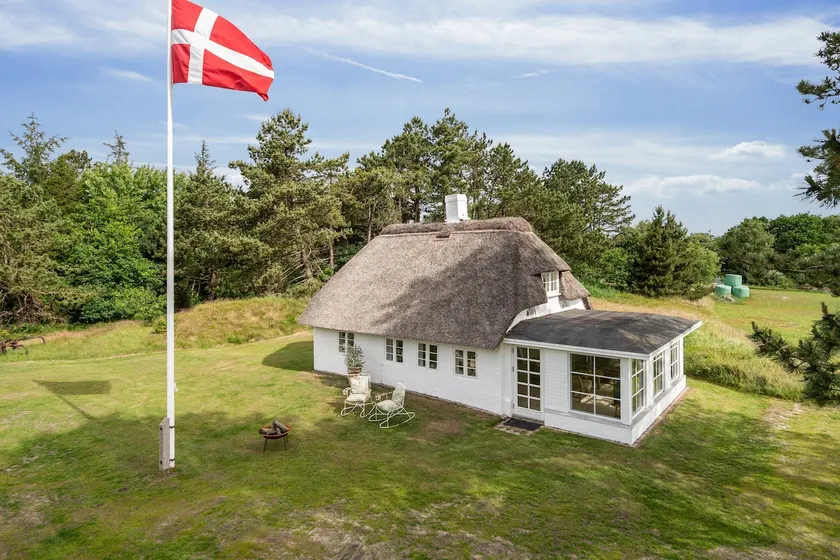 Cozy Cottage With View Of The Wadden Sea - Image 1