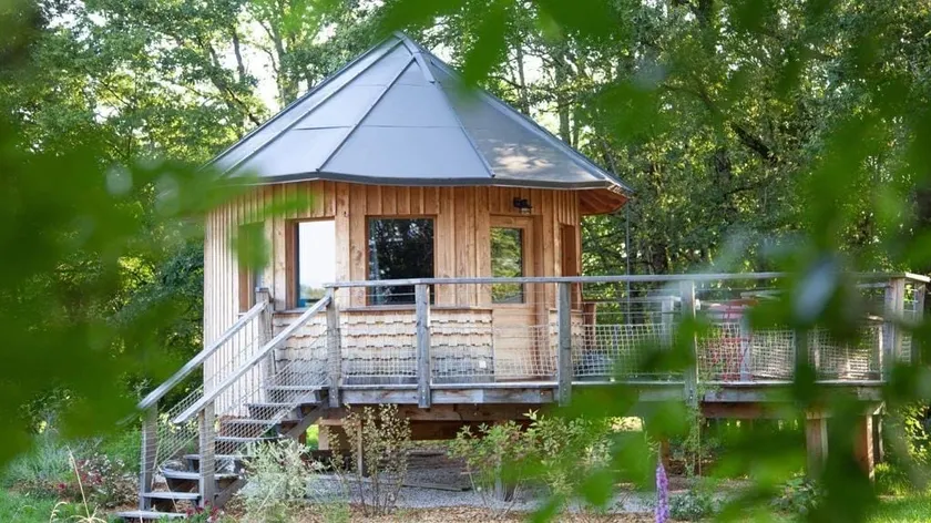 Treehouse - Image 1