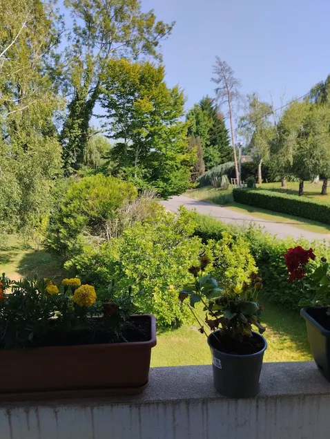 Apartment with terrace and garden - Image 1