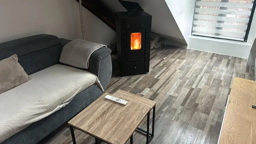 Cozy apartment in Faverges between lake and mountains - Image 1