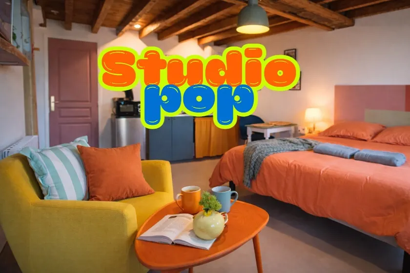 Studio Pop-25m2-Neuf et coloré - WiFi-Netflix - Image 1