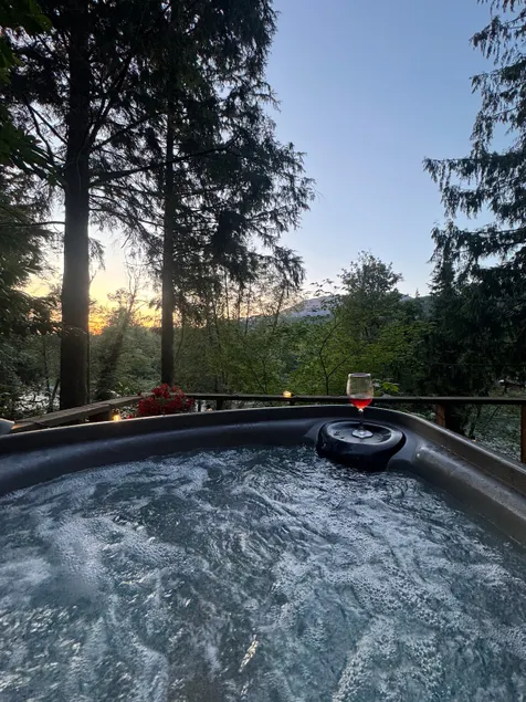 Tiny Cabin Couples Retreat*Hot Tub*Dry Sauna*Views - Image 1