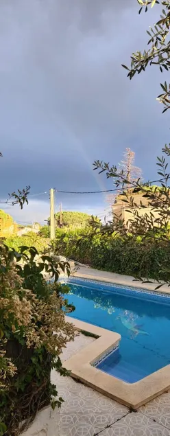 Between vineyards and the sea - Image 1