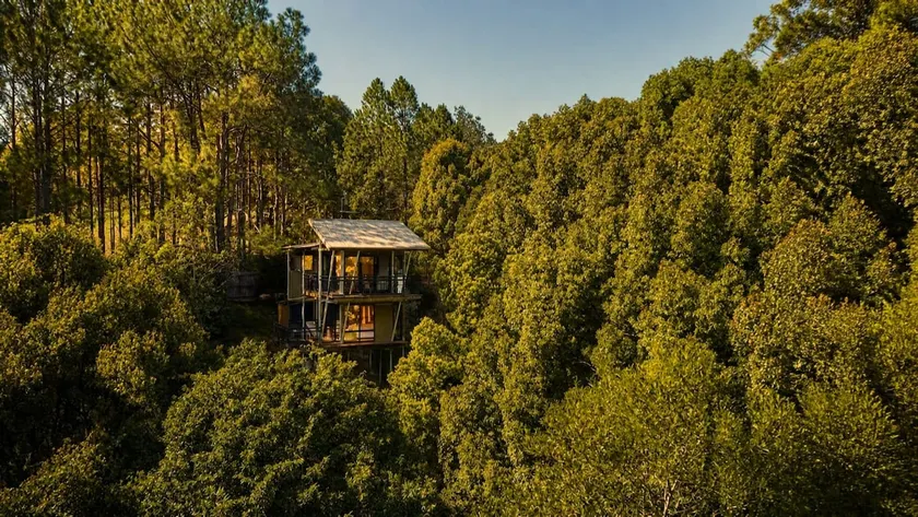 Ecoasis Morning Mist Chalet – Romantic Rainforest - Image 1