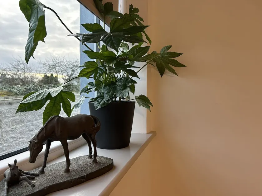Apartment 3: Yeats Block - Image 1