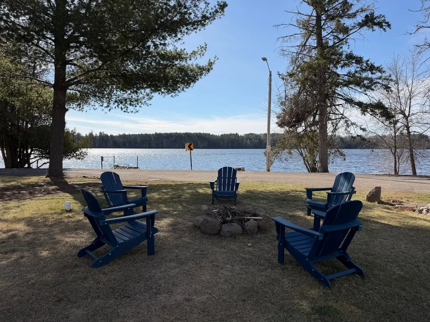 Lakeside Loon - Image 1
